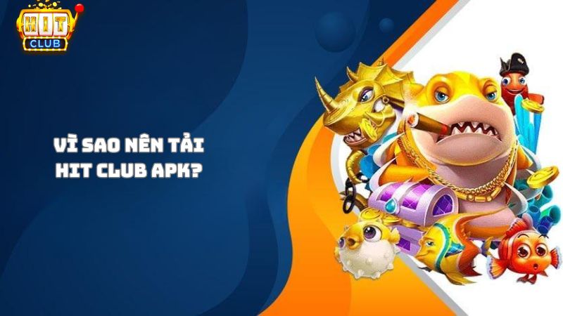 Lý do bạn nên tải Hit Club Apk về điện thoại?