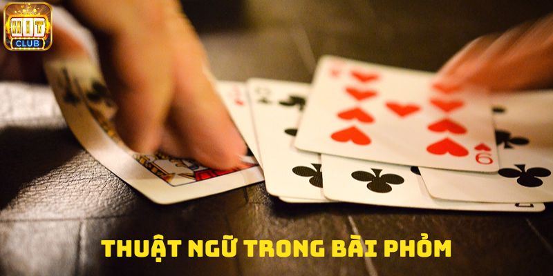 Một số thuật ngữ cơ bản dùng trong bài phỏm