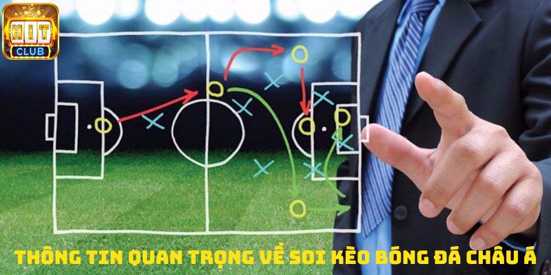 Một số thông tin quan trọng về soi kèo bóng đá châu Á