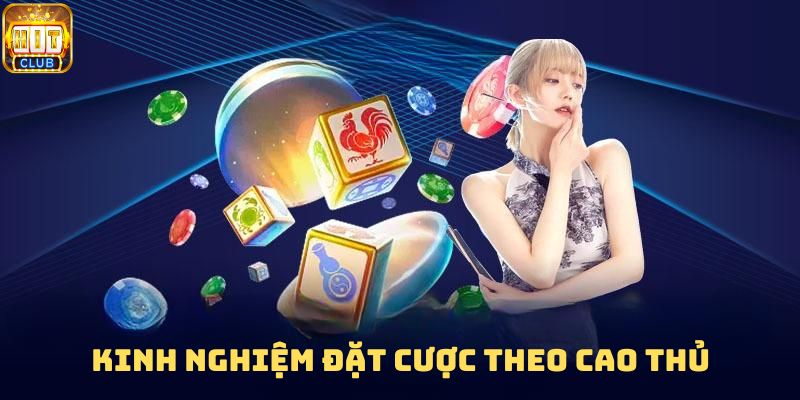 Kinh nghiệm đặt cược theo cao thủ